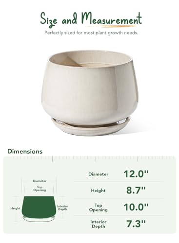 Reactive glaze ceramic planter dimensions