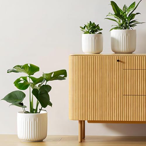 Fluted ceramic planter trio with plants on shelf