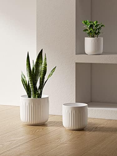 Fluted ceramic planter trio dimensions reference