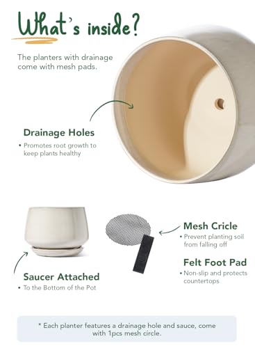 Ceramic planter drainage hole detail