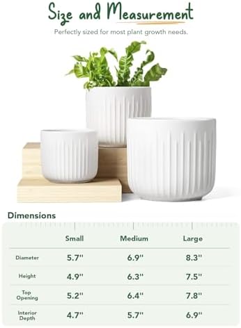 Fluted ceramic planter trio styled on windowsill