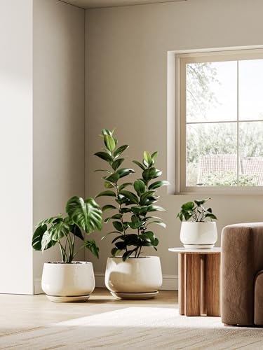 Ceramic planter reactive glaze finish detail