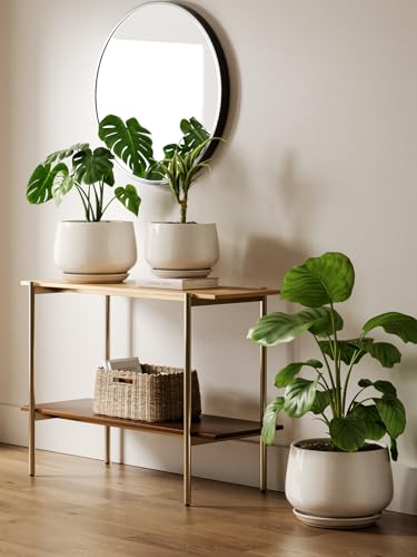 Ceramic planter styled in an entryway