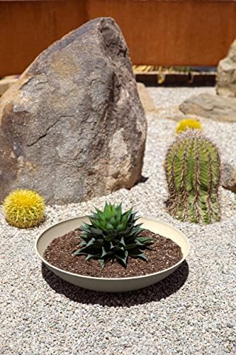 Bowl planter styled on an outdoor patio
