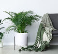 White cylinder planter styled on a patio with greenery