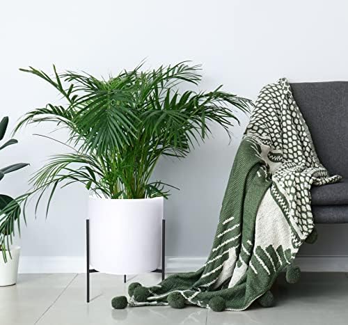 White cylinder planter styled on a patio with greenery