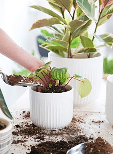 Fluted ceramic planter trio empty showing three sizes